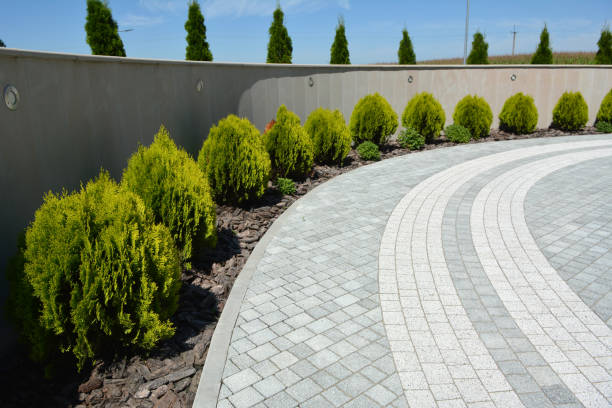 Best Commercial Driveway Pavers  in Percy, IL